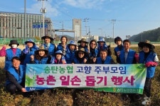 경기 평택 송탄농협, 고향주부모임과 땅콩 수확 일손돕기 나서