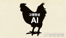 경기 화성서 고병원성 AI 확진