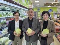 강원 대관령농협, 기후변화에 ‘쌈배추’ 신소득 작목으로 육성