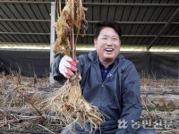 [NBS 하이라이트] 태양광 패널 아래서 인삼 재배하는 황호필씨