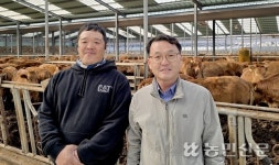 ‘미경산우’ 판로 확대…농가경영 뒷받침