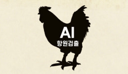 남원 육용종계농장서 H5형 AI 항원 검출…확진 땐 올 동절기 전북 첫 사례