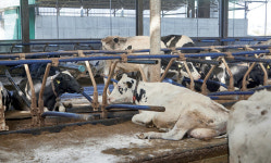 [신부자유친] 아들의 머릿속 기술을 아버지가 실현한다 | 월간축산