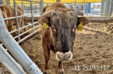 간척지에 세운 최대 ‘축산 복합관광단지’…미래산업 육성 온힘
