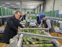 진주대곡농협, 애호박 공선회 안정적 운영 통해 농가 소득 증대 이바지