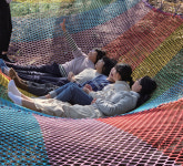 [치유농업 속으로] 바닷가 숲속 치유농장 ‘봄햇살케어팜’ | 디지털농업