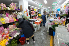 도반화훼도매 | 졸업 특수 끝난 뒤…한산한 화훼도매시장