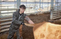 [우리 이웃] 축산인·인공수정사·유튜버로 맹활약…꿈은 ‘한우 500마리’ | 월간축산