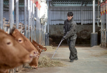[우리 이웃] 축산인·인공수정사·유튜버로 맹활약…꿈은 ‘한우 500마리’ | 월간축산