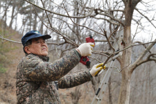 ‘곶감박사’의 37년 진심 “꿈꾸던 소원 이뤄져 행복합니다”