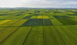 “전용 절차 없이”…농지에 화장실·주차장 설치 허용