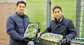 승주네포도복분자농원 | [설 대목 과일시장 점검] 샤인머스캣, 경도 위주 선별땐 ‘승산’