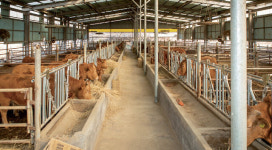 “데이터가 경쟁력”…석우농장 박석환 대표 [월간축산 I 귀농정착기]