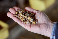 농장주 얘기 ‘경청’이 우선…예리한 ‘오감’이 전문 능력 판가름 [월간축산 I 사람과 일]