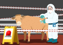 농림축산검역본부 “구제역 백신접종 소홀 농가, 연 최대 4회 검사”