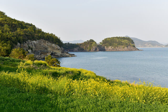 2026 지역사랑 휴가지원 및 반값여행 홍보 이미지