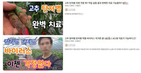 “농약인 줄”…‘비료’ 온라인 허위·과대광고에 농가 혼란