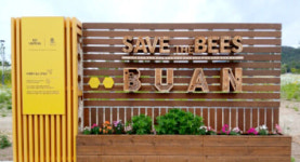 전북 부안의 답례품은? ‘야생벌 살리는’ 지정기부…곰소젓갈·부안김 맛 일품