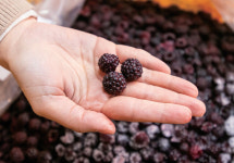 농진청 박사, ‘복분자’로 고향 고창에서 일 내는 중 [디지털농업 I 청년이 미래다]