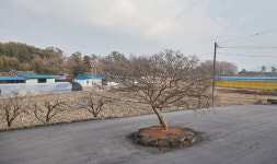 “안정적인 수익과 워라밸”…한우농장을 평생직장 삼다 [월간축산 I 지속 가능한 축산]