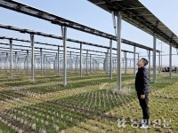 영농형태양광 준공 1년…발전수익 0원