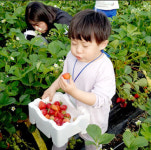 ‘젊음의 체험 농장’ 생활인구 유입 ‘두각’