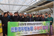안성 고삼농협, 우렁이 양식장 새 단장…첫 입식 실시