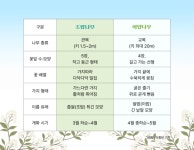 “이팝나무지?” “조팝나무야”…이제 헷갈릴 일 없어요
