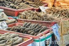 외국인도 복작복작…전국 전통시장, 우리도 가보자