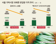 가락시장 쉬자 전국 도매시장 들썩…‘휴업’ 도미노 오나