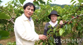 오디 수확·유통 뒷받침 ‘호응’