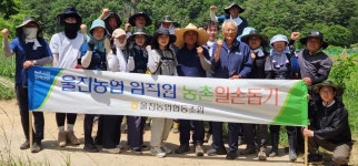 경북 울진농협, 금강송면 고추농가에서 일손돕기 펼쳐