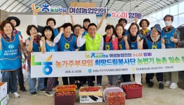 충남세종농협·농가주부모임, 딸기 농가 일손돕기부터 나눔까지