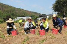 경북농협본부, 경북호국보훈재단과 함께 국가유공자 유가족 농장에서 일손돕기 펼쳐