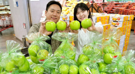 능주농수산유통센터 | [유통식품 브리핑] 농수산물 온라인도매시장 거점물류센터 4곳 9월 가동 등