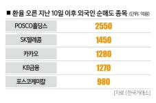 (주)비엠더코리아인 | "포스코 팔고 삼전 사고" 외인의 엇갈린 선택 [마켓톡톡]