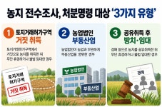 농지 전수조사 걸려도…'이것 3가지'만 처분명령