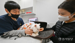 동물병원 진료비 확인하고 진료 받으세요 [포토뉴스]