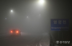 밤사이 짙은 안개... 안전운전 하세요! [포토뉴스]
