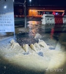 시흥 장현지구 도로에 오수 콸콸... 주민들 악취 피해