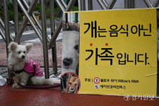 불법 개농장 폐쇄하라 [포토뉴스]