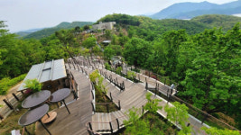 김포 DMZ 평화의길 주노선 개방 앞두고 3개 코스 조성 주목