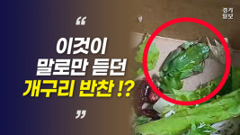 [영상] 말로만 듣던 개구리 반찬?…샐러드 먹다 나온 개구리에 경악