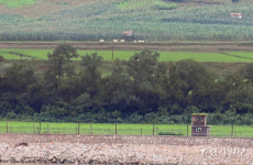 정전협정 70주년을 맞아 [포토뉴스]