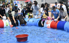 궁평항에서 열린 수산물잡이 축제 [포토뉴스]