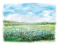 [이해균의 어반스케치] 보통리