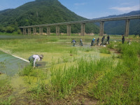 소양강댐 상류 녹조 발생…K-water 대응 총력