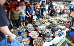 소래포구 축제 45만명 찾았다 [포토뉴스]