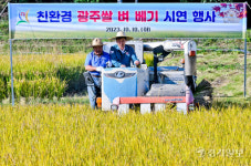 경기 광주 황금 듵녘 벼베기 시연 [포토뉴스]