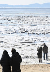 바다인지 얼음장인지... 얼어붙은 인천 동막해수욕장 [포토뉴스]